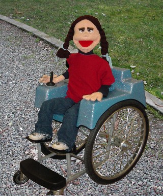 wheelchair robot
