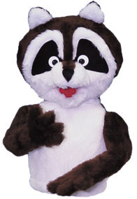 raccoon
